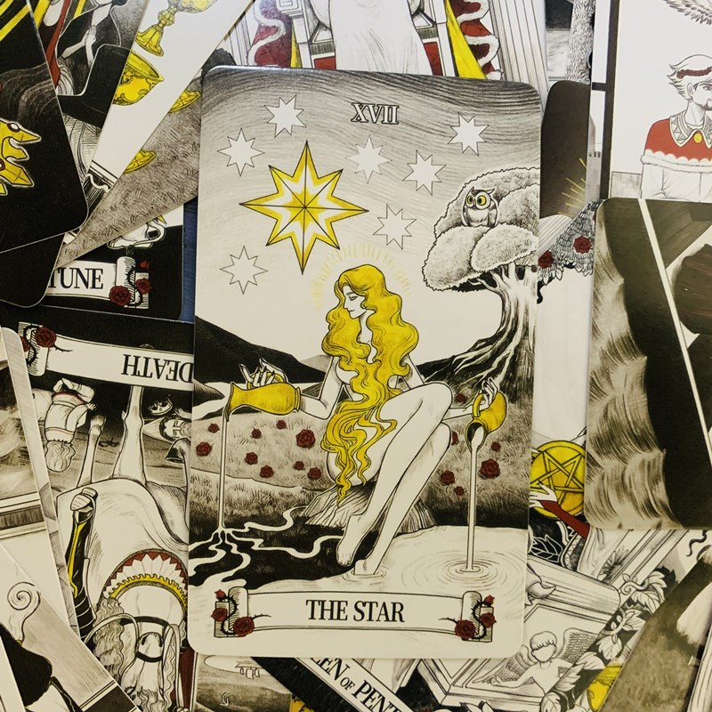 Secret Mirror Tarot cards 80 d - Tarot Cards Deck With Guidebook recension och pris